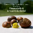 Baume Corps Immortelle Karité 